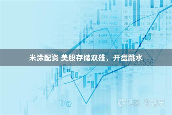 米涂配资 美股存储双雄，开盘跳水