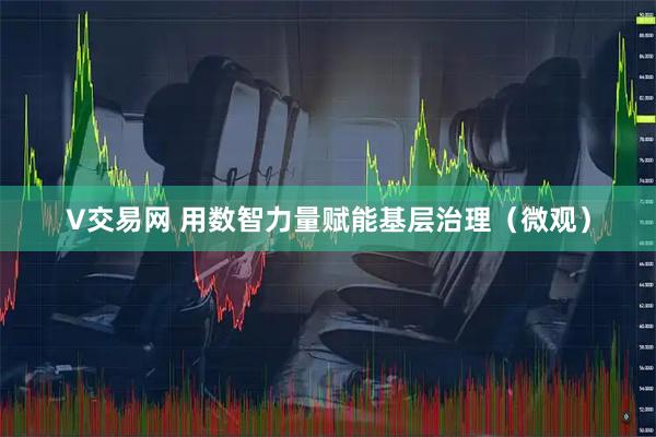 V交易网 用数智力量赋能基层治理（微观）