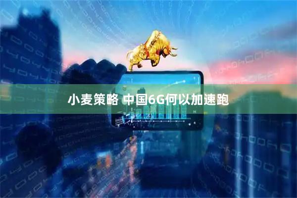 小麦策略 中国6G何以加速跑